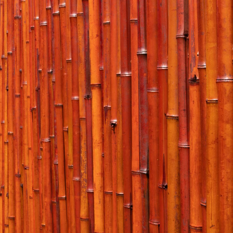 Bambusmatte, 180cm x 190cm, Vollrohr, Papillon™ rot, 94,99 €